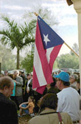 Puerto Rican flag